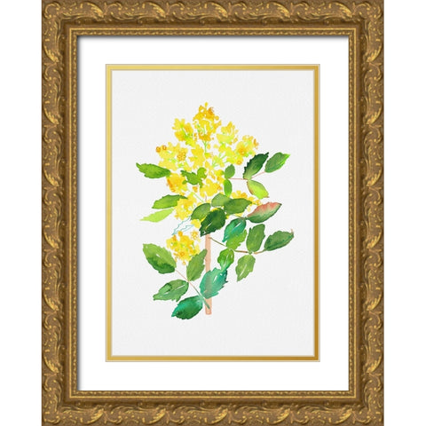 Oregon grape or Mahonia aquifolium botanical painting Gold Ornate Wood Framed Art Print with Double Matting by Kata Botanical