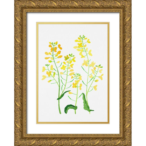 Rapeseed or Brassica napus botanical painting Gold Ornate Wood Framed Art Print with Double Matting by Kata Botanical