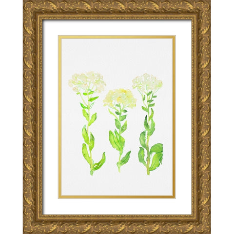 Hoary cress or Lepidium draba botanical painting Gold Ornate Wood Framed Art Print with Double Matting by Kata Botanical
