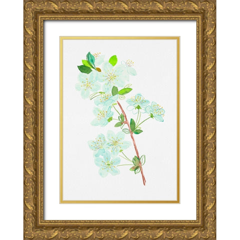 Wild cherry or Prunus avium botanical painting Gold Ornate Wood Framed Art Print with Double Matting by Kata Botanical