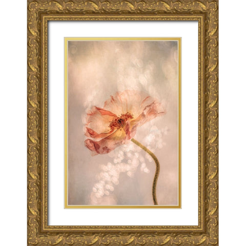 Radiant poppy Gold Ornate Wood Framed Art Print with Double Matting by van der, Hilda