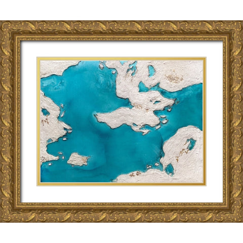 Great Barrier Reef Gold Ornate Wood Framed Art Print with Double Matting by Storms, Alyson