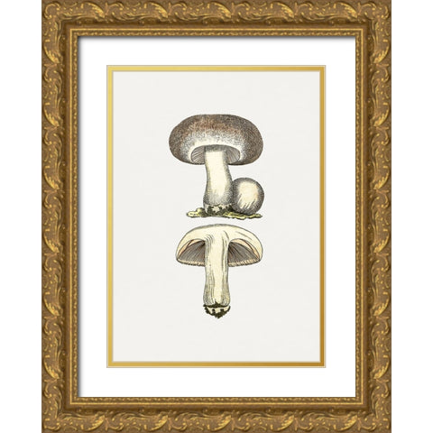 Hand Drawn Field Mushroom Gray Gold Ornate Wood Framed Art Print with Double Matting by Pictufy
