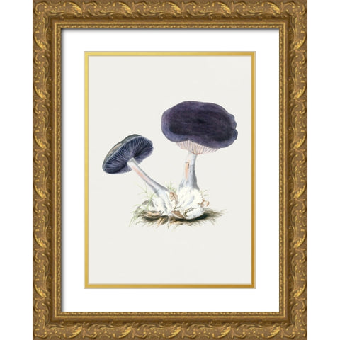 Vintage Violet Webcap Mushroom Gold Ornate Wood Framed Art Print with Double Matting by Pictufy