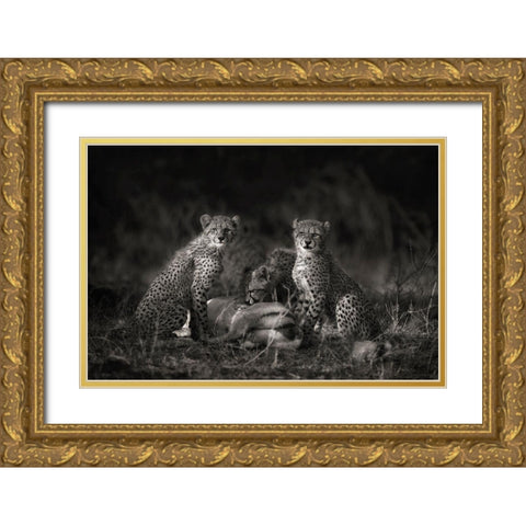 Cheetah Cubs Gold Ornate Wood Framed Art Print with Double Matting by Moreno, Mario