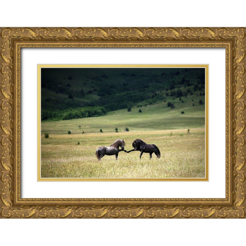 Peace Gold Ornate Wood Framed Art Print with Double Matting by Vidak, Vedran