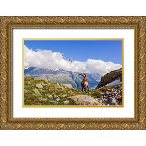 The King Of Mont Blanc Gold Ornate Wood Framed Art Print with Double Matting by Costina, Mircea