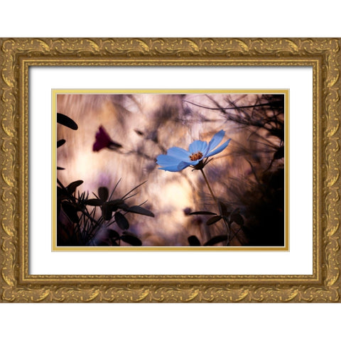 Lindiffacrence Gold Ornate Wood Framed Art Print with Double Matting by Bravin, Fabien