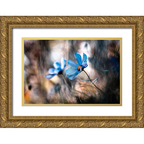 The Two Of Us Gold Ornate Wood Framed Art Print with Double Matting by Bravin, Fabien