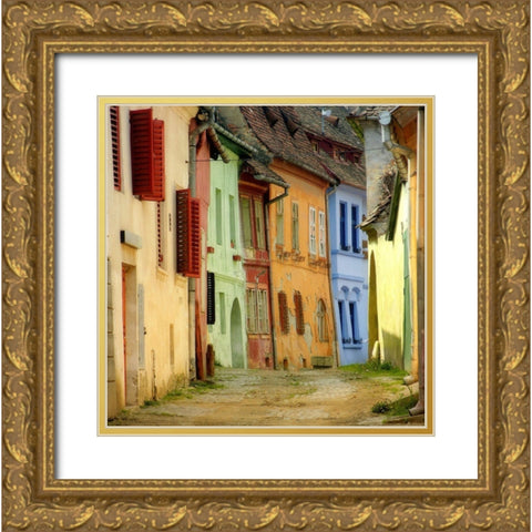 Colors Gold Ornate Wood Framed Art Print with Double Matting by SC