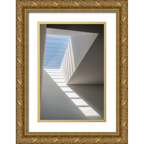 Air! Gold Ornate Wood Framed Art Print with Double Matting by P Neto, Filipe