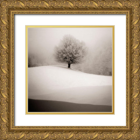 Winter Degradee Gold Ornate Wood Framed Art Print with Double Matting by SC
