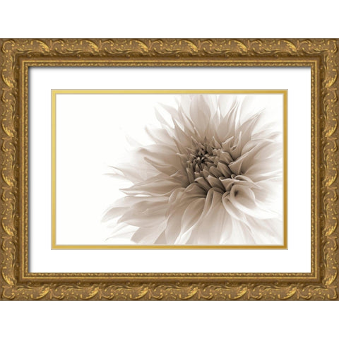 Dignified Gold Ornate Wood Framed Art Print with Double Matting by Wettstein, Priska