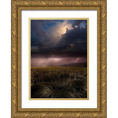Summer Lights Gold Ornate Wood Framed Art Print with Double Matting by Schumacher, Nicolas