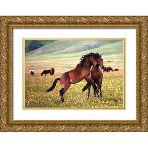 The Game Gold Ornate Wood Framed Art Print with Double Matting by Vidak, Vedran