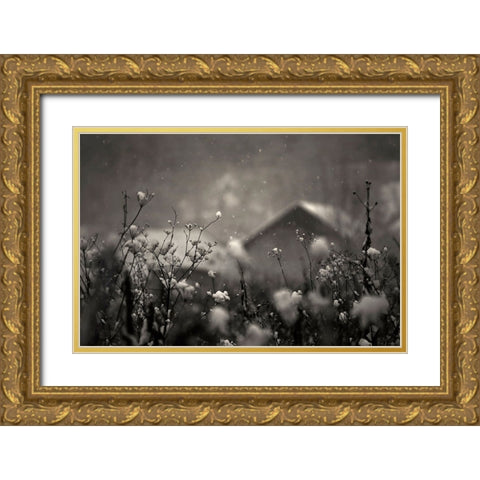 Winter Story Gold Ornate Wood Framed Art Print with Double Matting by PhotoCosma