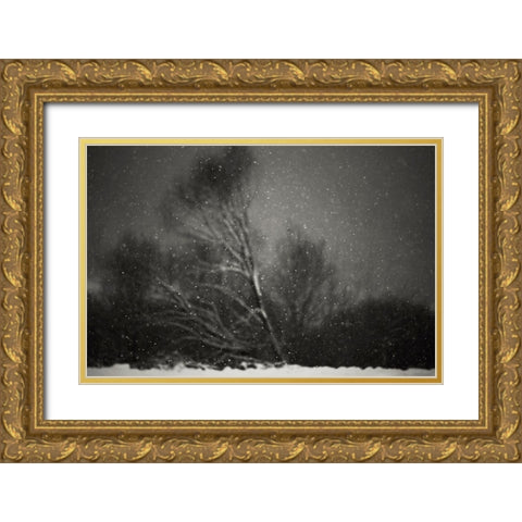 Winter Gold Ornate Wood Framed Art Print with Double Matting by PhotoCosma