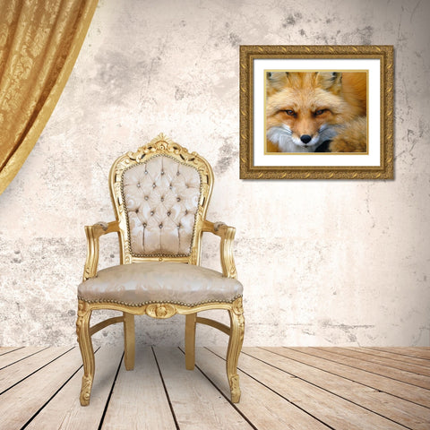 Foxy Lady Gold Ornate Wood Framed Art Print with Double Matting by Turgeon, Alain