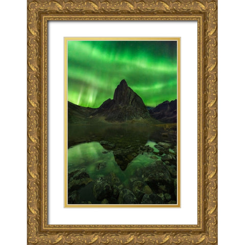 Blaze Of Beauty Gold Ornate Wood Framed Art Print with Double Matting by Moore, Chris