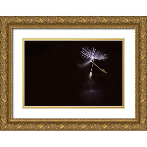 Ballet Gold Ornate Wood Framed Art Print with Double Matting by Soide55