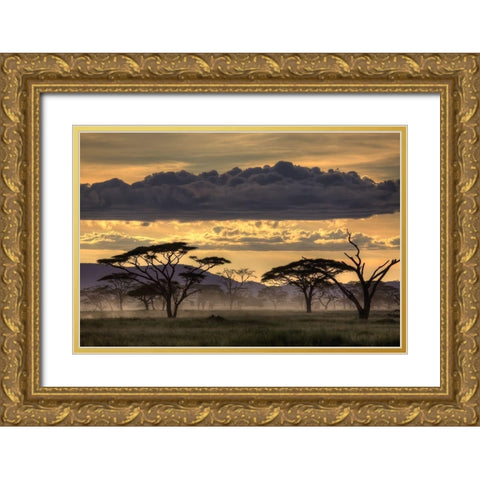 Good Evening Tanazania Gold Ornate Wood Framed Art Print with Double Matting by Eichelberg, Amnon