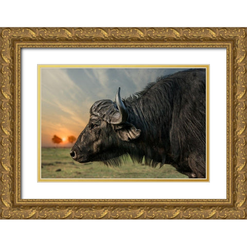 Imagine Gold Ornate Wood Framed Art Print with Double Matting by Flour, Piet