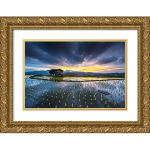 Light In Rice Gold Ornate Wood Framed Art Print with Double Matting by Intarob, Sarawut