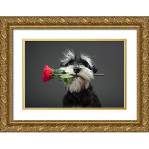 Tango Dancer Gold Ornate Wood Framed Art Print with Double Matting by Mahmutovic, Adnan