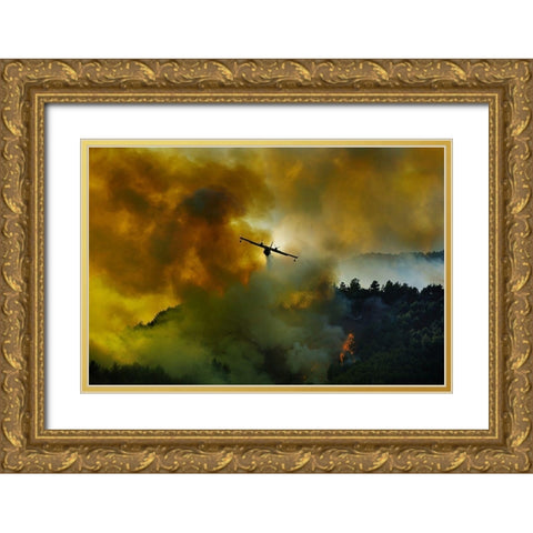 Canadair Aircraft In Action - Fighting For The Salvation Of The Forest. Gold Ornate Wood Framed Art Print with Double Matting by Grambone, Antonio