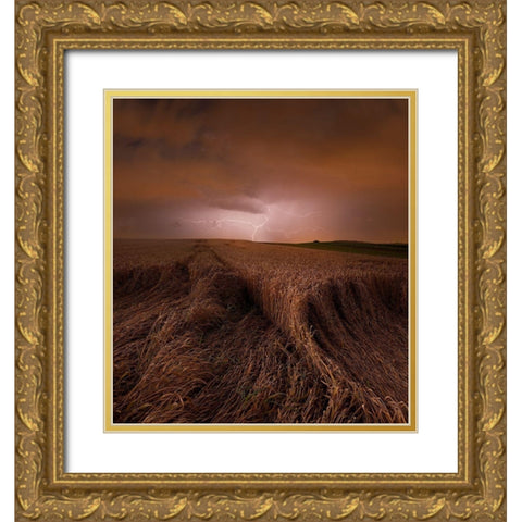 Morning Storm Gold Ornate Wood Framed Art Print with Double Matting by Schumacher, Nicolas