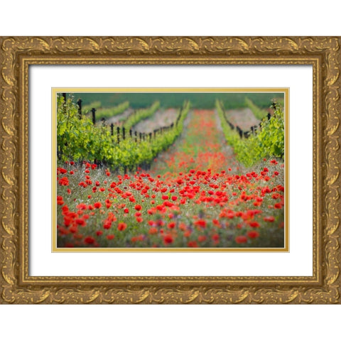 Red District Gold Ornate Wood Framed Art Print with Double Matting by Komovec, Ales