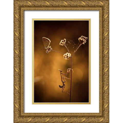 All I Want Is You Gold Ornate Wood Framed Art Print with Double Matting by Bravin, Fabien