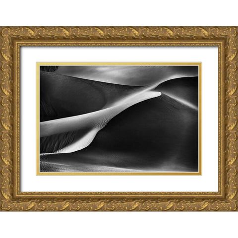 Curvatures Gold Ornate Wood Framed Art Print with Double Matting by Al Adwan, Rami