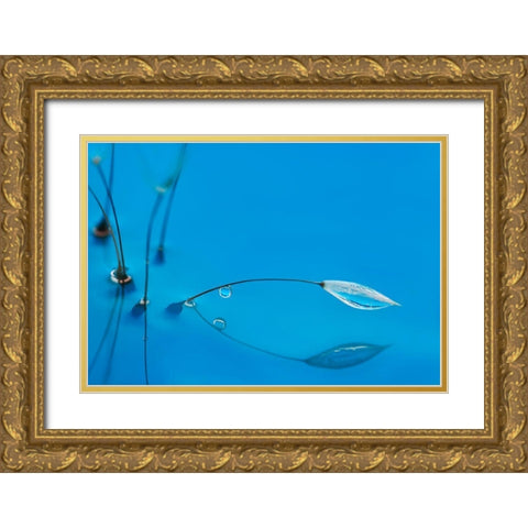 Blue Water Gold Ornate Wood Framed Art Print with Double Matting by Westum, Heidi