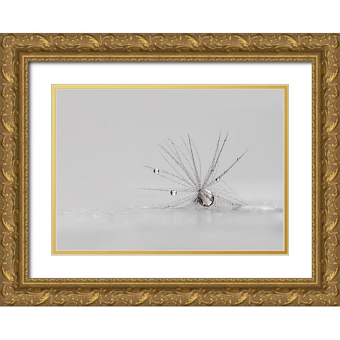 My Silver Spider Gold Ornate Wood Framed Art Print with Double Matting by Westum, Heidi