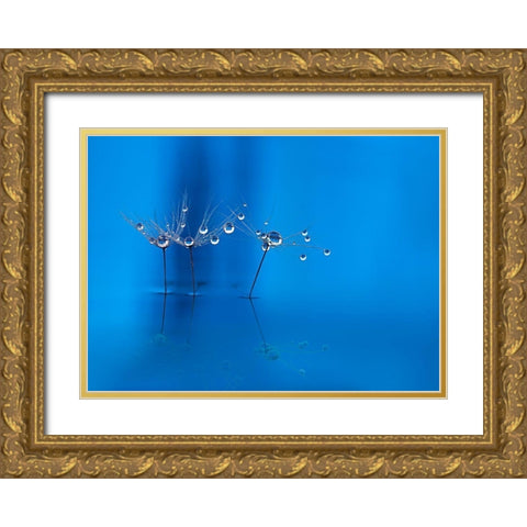 Blue Fun Gold Ornate Wood Framed Art Print with Double Matting by Westum, Heidi