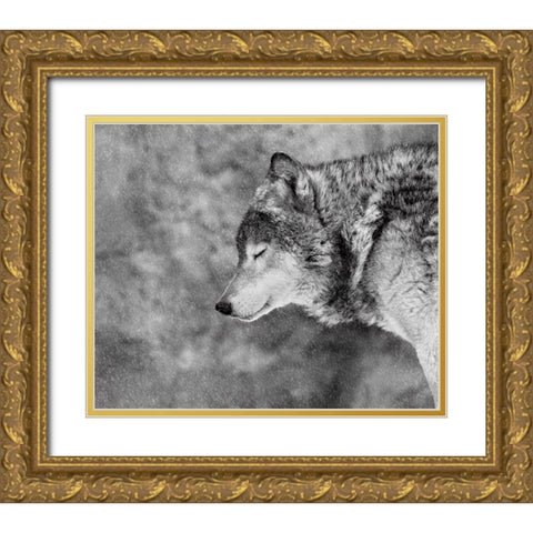 Let It Snow Gold Ornate Wood Framed Art Print with Double Matting by Ivanova, Victoria