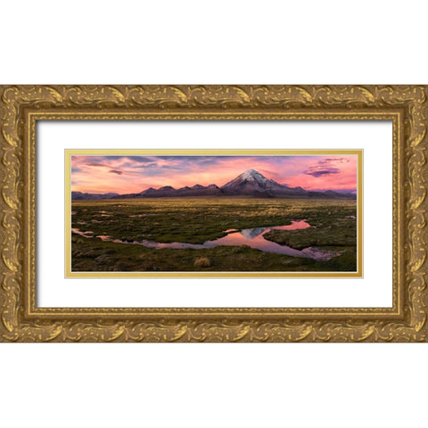 Sajama Gold Ornate Wood Framed Art Print with Double Matting by Chernilova, Margarita