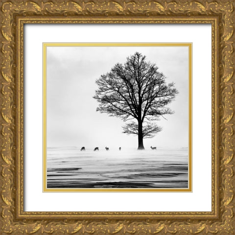 Roes Gold Ornate Wood Framed Art Print with Double Matting by Dansiga