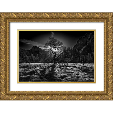 The Winter Spirit Gold Ornate Wood Framed Art Print with Double Matting by Chenglu, Simon