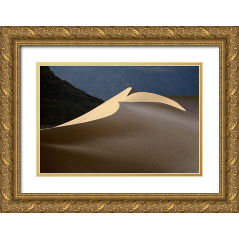 Sandy Bird Gold Ornate Wood Framed Art Print with Double Matting by Dubikovskiy, Dmitry