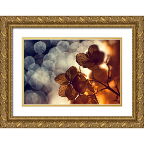 .:.:.** Gold Ornate Wood Framed Art Print with Double Matting by Lazarov, Dimitar