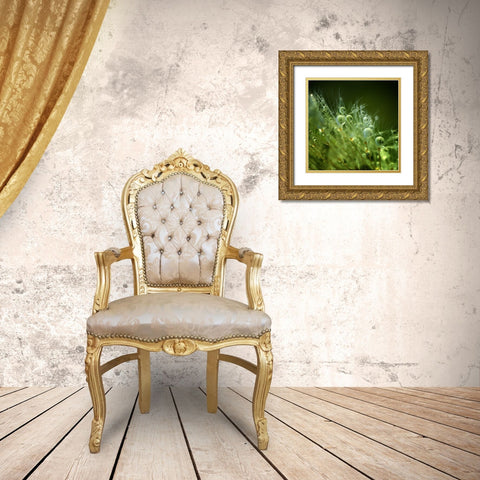 Morning Perls Gold Ornate Wood Framed Art Print with Double Matting by Maier, Norbert