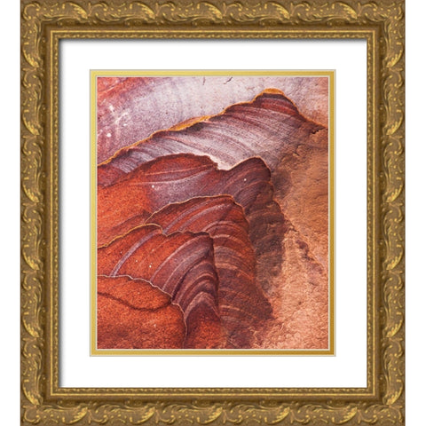 Solar Systems Gold Ornate Wood Framed Art Print with Double Matting by Wrobel, Karsten