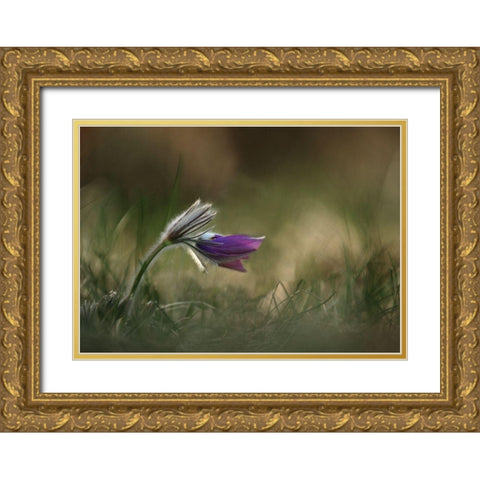 Alone Gold Ornate Wood Framed Art Print with Double Matting by Lichner, Istvan