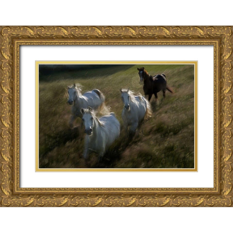 Gallop In Gold Ornate Wood Framed Art Print with Double Matting by Malovrh, Milan
