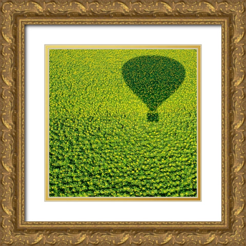 A Hundred Million Suns Gold Ornate Wood Framed Art Print with Double Matting by Revivo, Avi