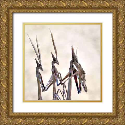 Trio Gold Ornate Wood Framed Art Print with Double Matting by Hoffman, Jimmy