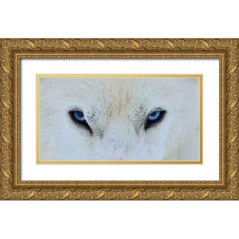 Mirada Azul Gold Ornate Wood Framed Art Print with Double Matting by Angel Artus, Miquel