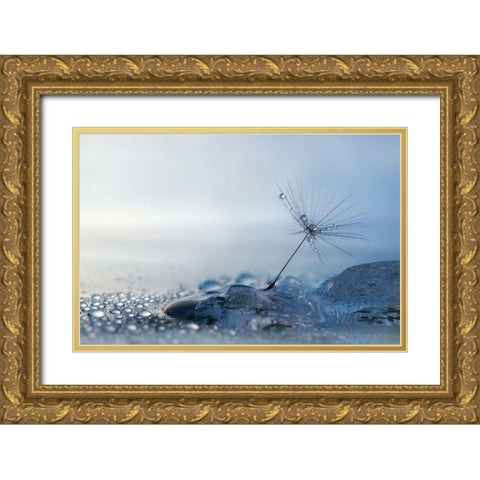 A Blue Morning Gold Ornate Wood Framed Art Print with Double Matting by Westum, Heidi